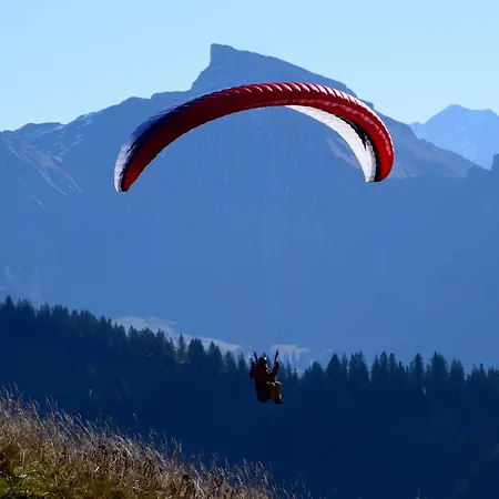Gretina 3* Bezau